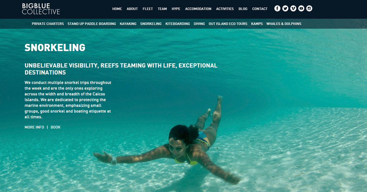 Screenshot of Big Blue Collective's snorkeling web page.
