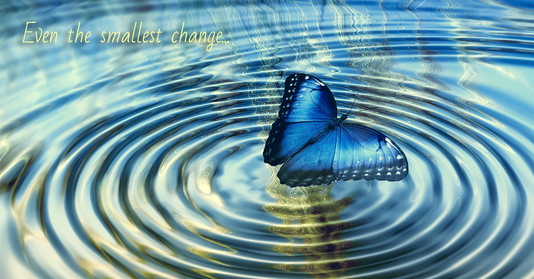 Image of a blue butterfly creating circular ripples on the surface of a pond.