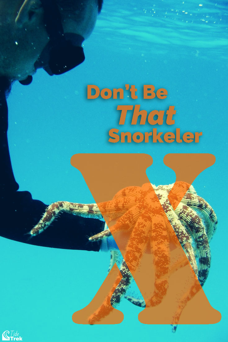 A snorkeler holding a large starfish with a big orange 'X' overlay. Text reads, Don't be that snorkeler.