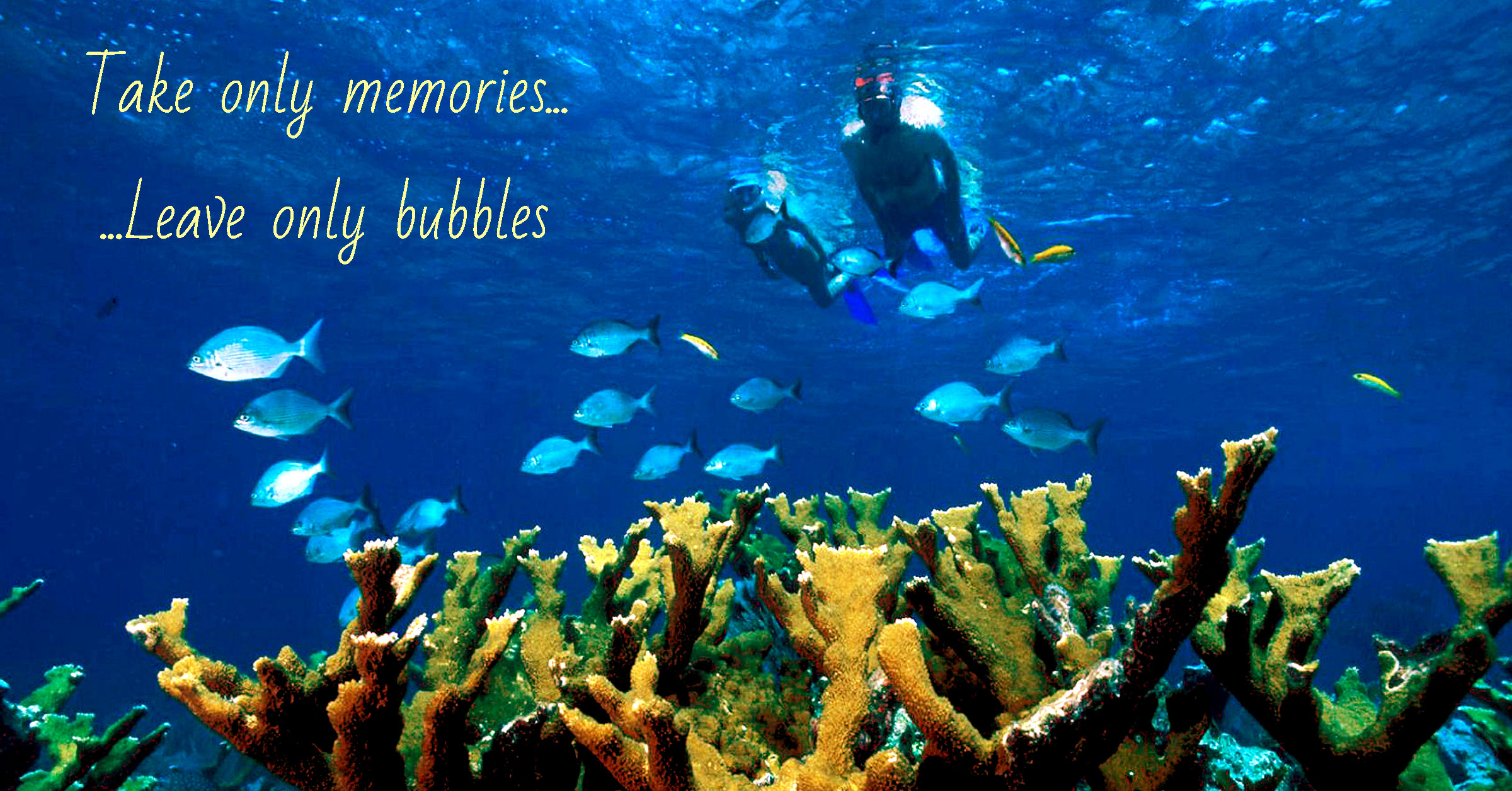 Underwater shot of two snorkelers swimming at the surface over some blue fish and orange coral. Text overlay reads, Take only memories, Leave only bubbles.