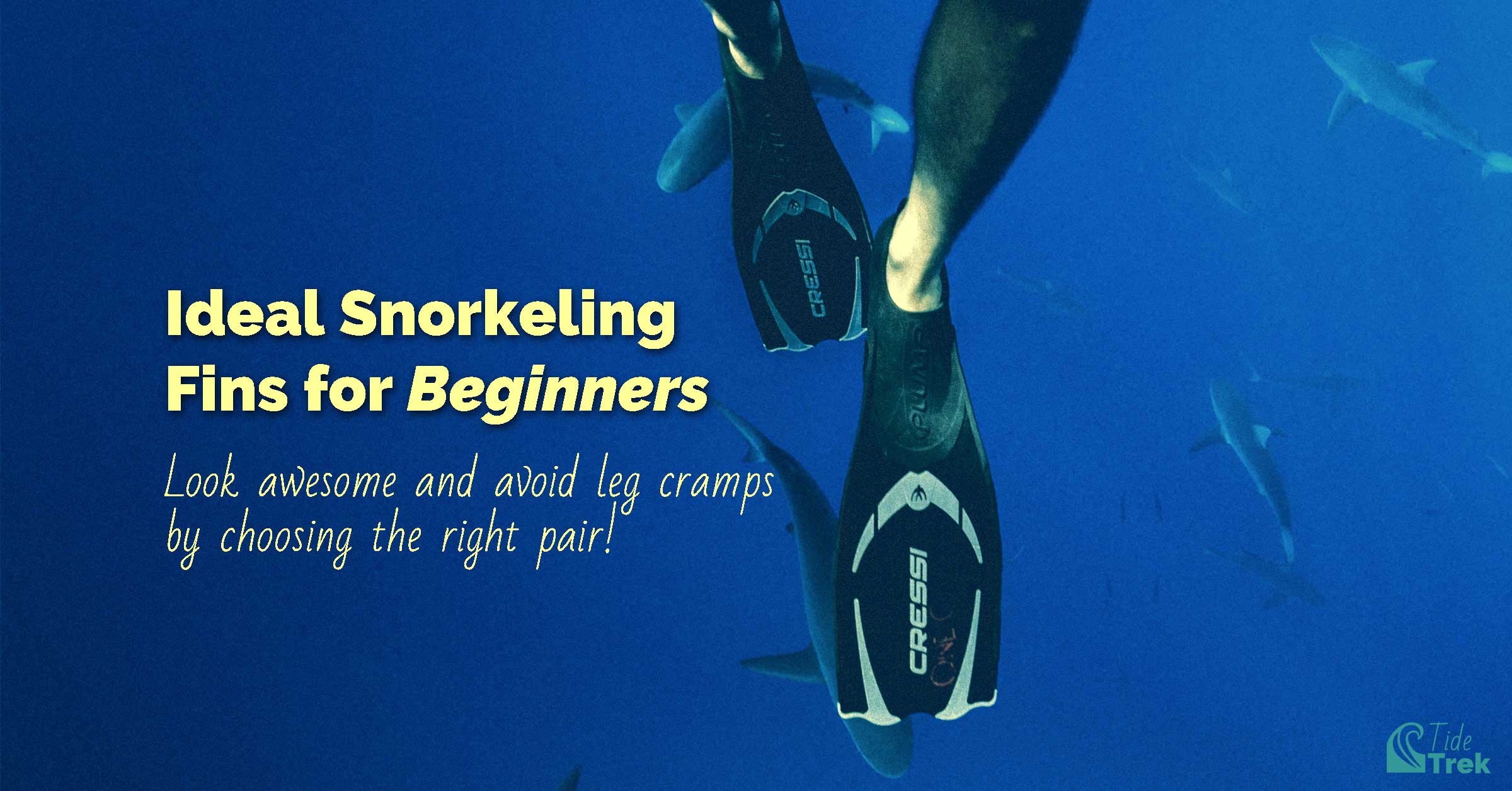 Ideal snorkeling fins for beginners. Photo shows a person's feet wearing fins underwater with sharks behind.