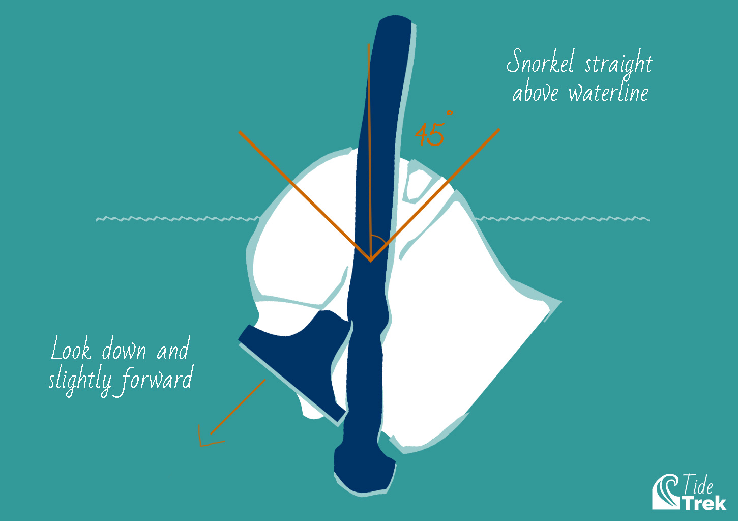 Snorkeling: How to position the snorkel for breathing above the waterline