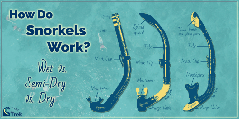 How Snorkels Work: Wet Vs. Semi-Dry Vs. Dry